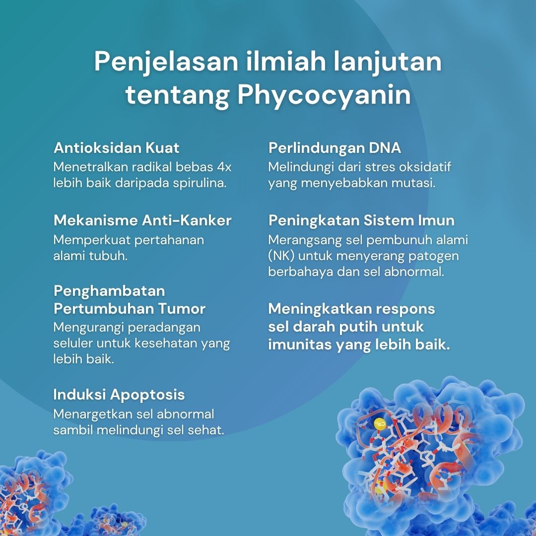 NILAYA Blue Spirulina Tablets (Phycocyanin) 50g — 200 Tablets | Pure Antioxidant Extract