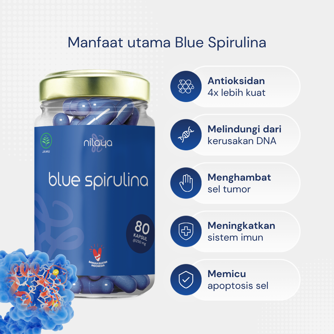 NILAYA Blue Spirulina Capsules — 80 Caps | Pure Phycocyanin | BPOM & Halal | Eco Glass Bottle