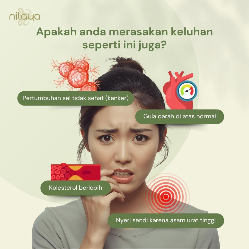 NILAYA Soursop (Sirsak) Extract Capsules | 80 Caps @460mg | Immune & Cardiovascular Support