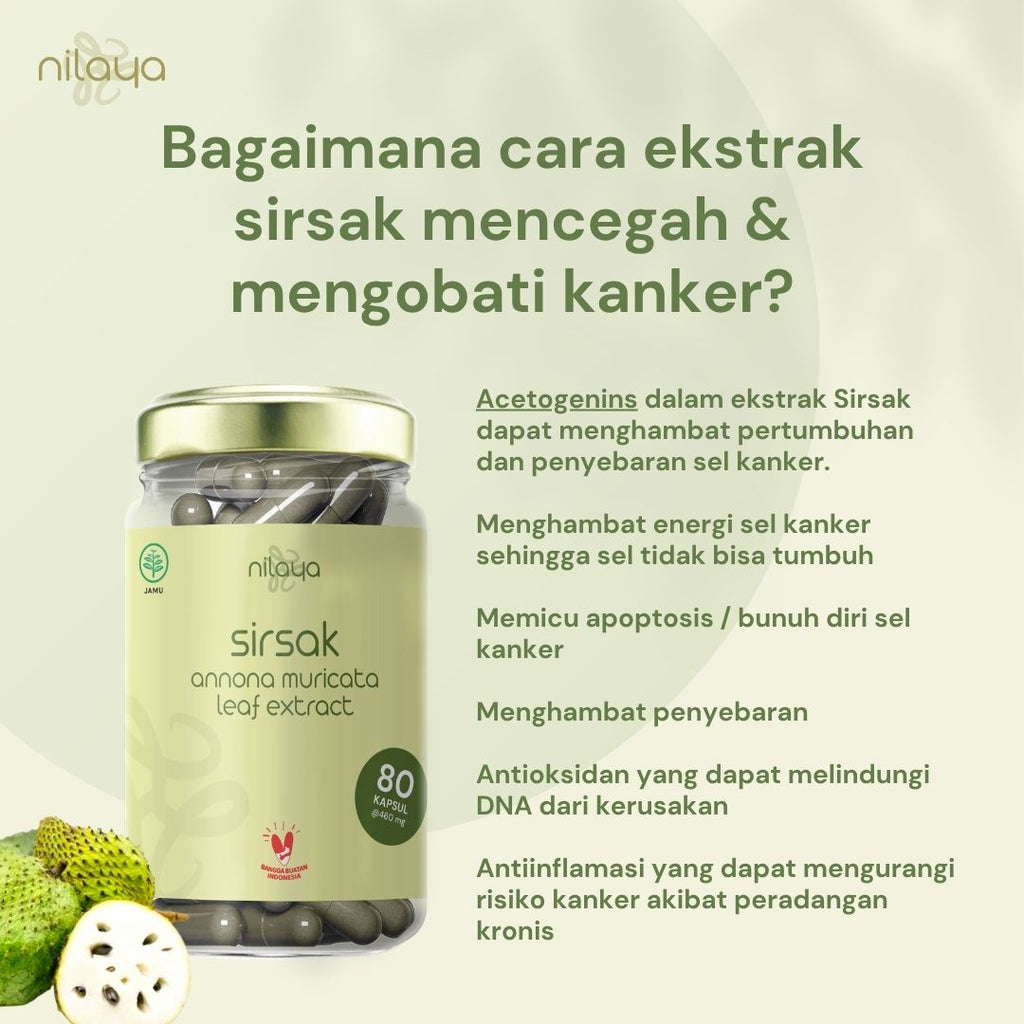 NILAYA Soursop (Sirsak) Extract Capsules | 80 Caps @460mg | Immune & Cardiovascular Support