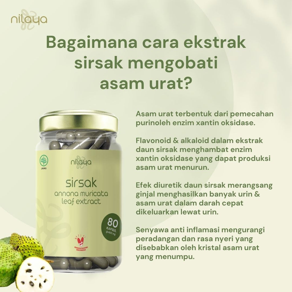 NILAYA Soursop (Sirsak) Extract Capsules | 80 Caps @460mg | Immune & Cardiovascular Support