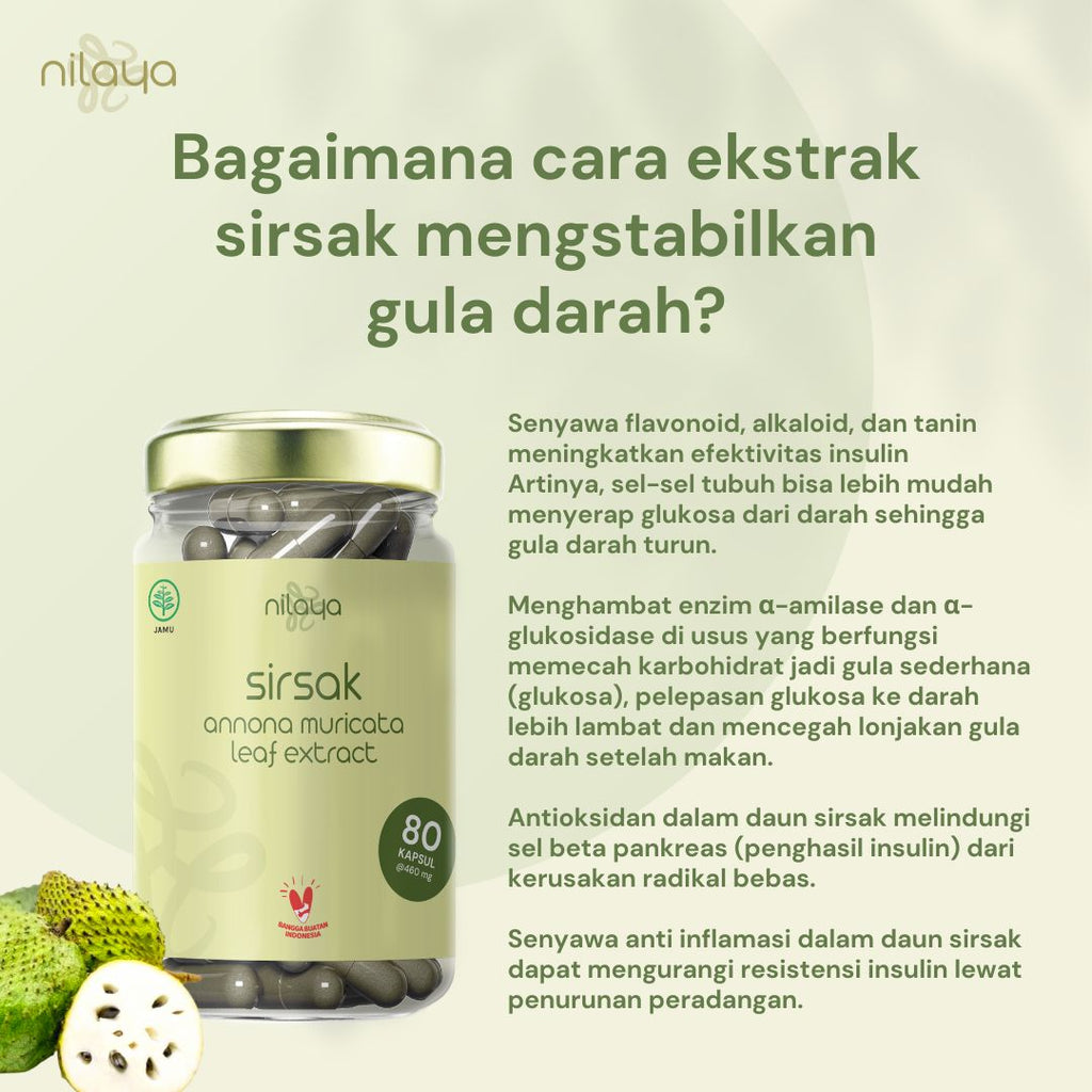 NILAYA Soursop (Sirsak) Extract Capsules | 80 Caps @460mg | Immune & Cardiovascular Support