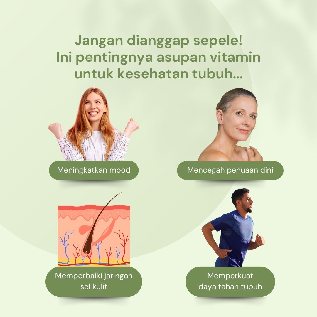 NILAYA Organic Moringa Powder 250g | Miracle Tree Superfood | BPOM & Halal Certified
