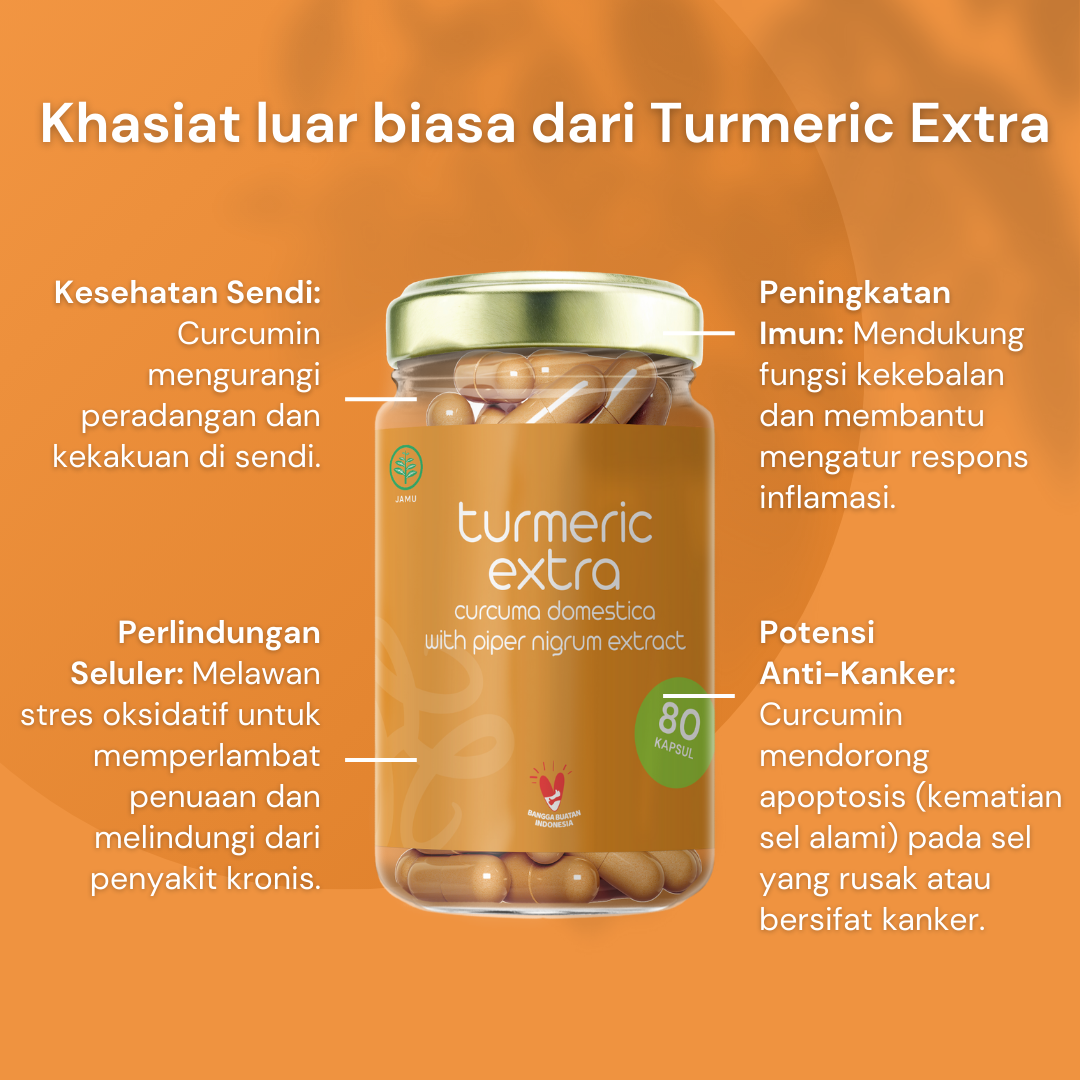 NILAYA Turmeric Extra Curcumin Capsules | 2000% Higher Absorption | Anti-Inflammatory | BPOM