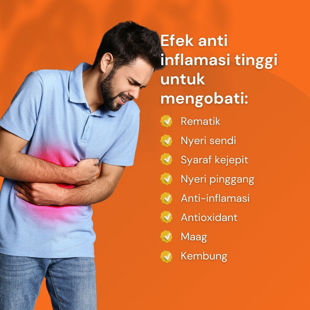 NILAYA Temulawak Extra Curcumin Capsules | 2000% Enhanced Absorption | Liver & Digestive Health