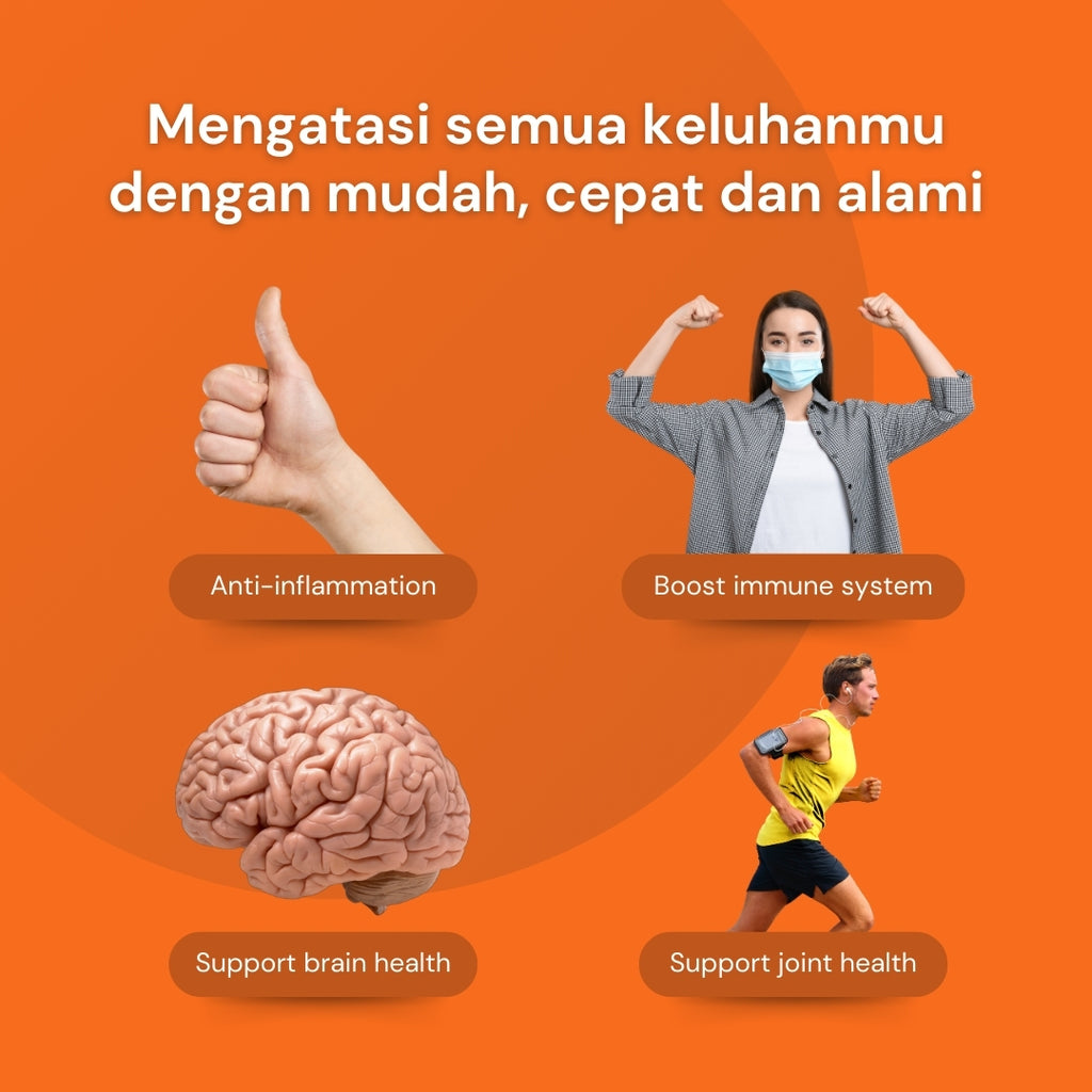 NILAYA Temulawak Extra Curcumin Capsules | 2000% Enhanced Absorption | Liver & Digestive Health