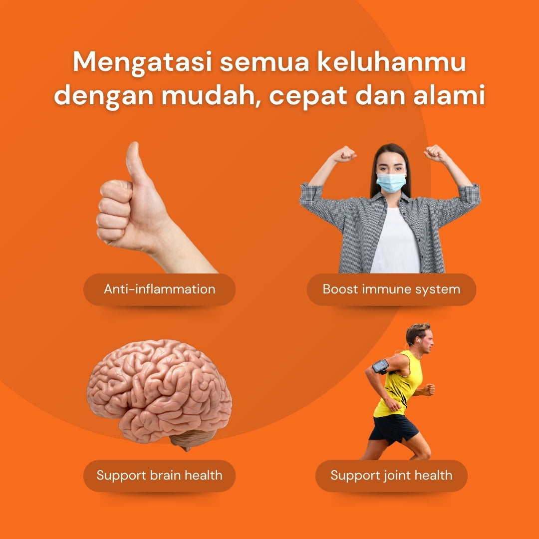 NILAYA Temulawak Extra Curcumin Capsules | 2000% Enhanced Absorption | Liver & Digestive Health
