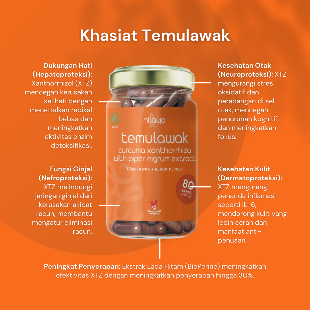 NILAYA Temulawak Extra Curcumin Capsules | 2000% Enhanced Absorption | Liver & Digestive Health