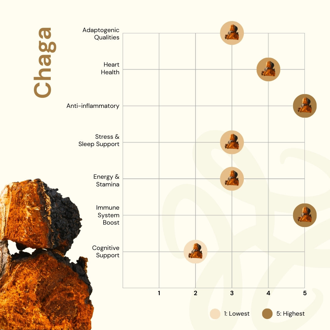 NILAYA Chaga Mushroom Extract Capsules 10:1 | Immune & Heart Health | Anti-Inflammatory | Organic