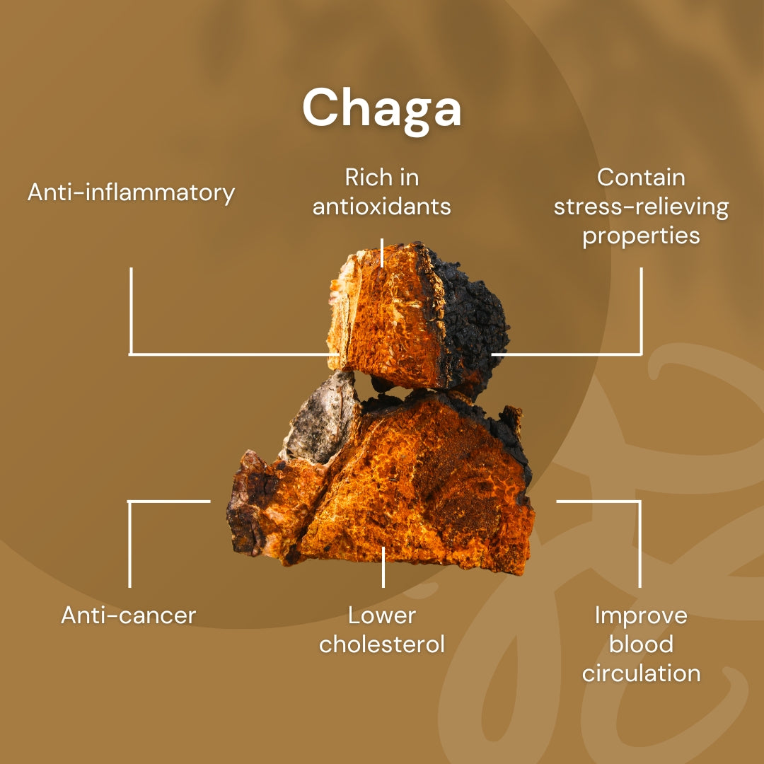 NILAYA Chaga Mushroom Extract Capsules 10:1 | Immune & Heart Health | Anti-Inflammatory | Organic