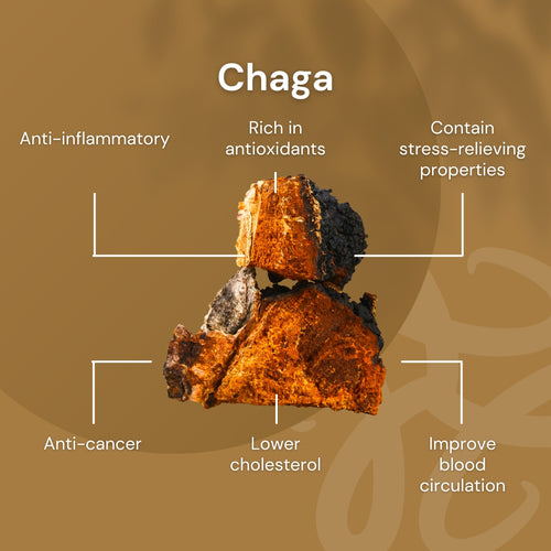 NILAYA Chaga Mushroom Powder 100g | Antioxidant King | Immune & Heart Health | Organic