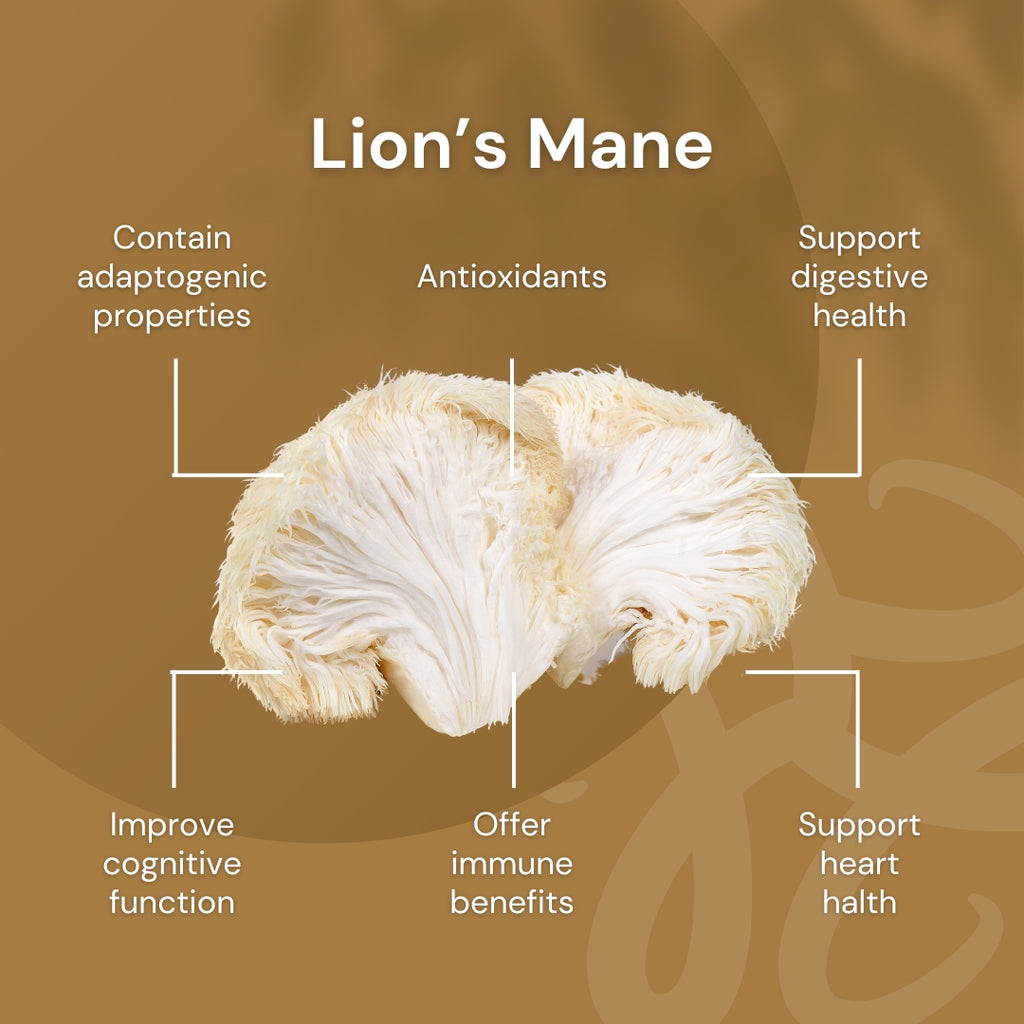 NILAYA Lion's Mane Mushroom Powder 100g | Brain & Cognitive Support | Organic Fruiting Body