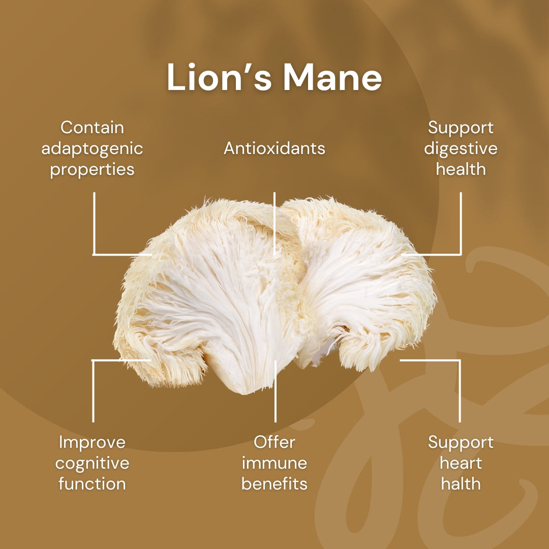 NILAYA Lion's Mane Mushroom Powder 100g | Brain & Cognitive Support | Organic Fruiting Body
