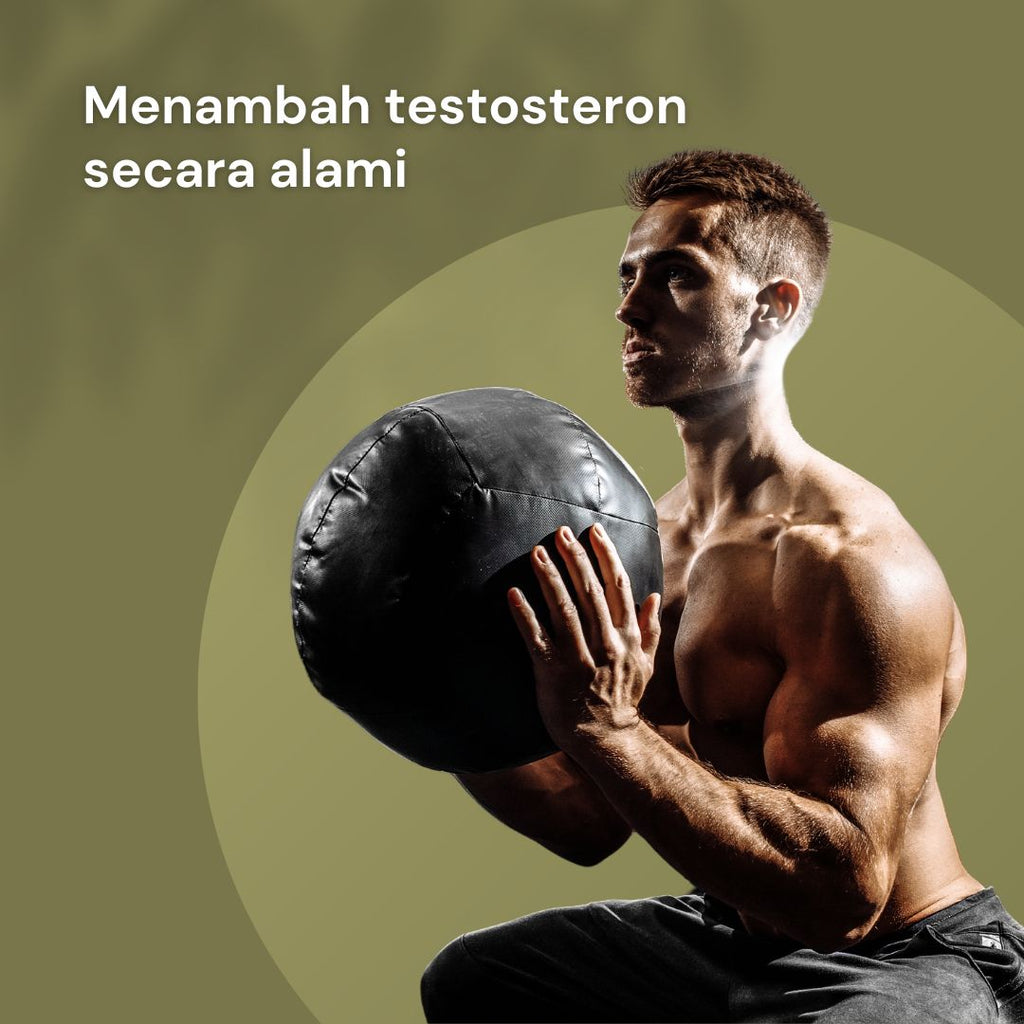 NILAYA Tongkat Ali Extract Capsules | Natural Testosterone Booster | Energy & Muscle Support