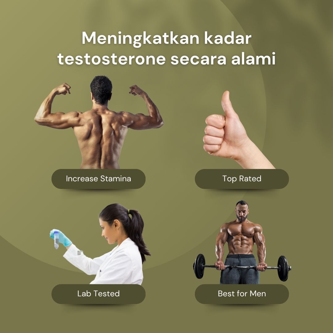 NILAYA Tongkat Ali Extract Capsules | Natural Testosterone Booster | Energy & Muscle Support
