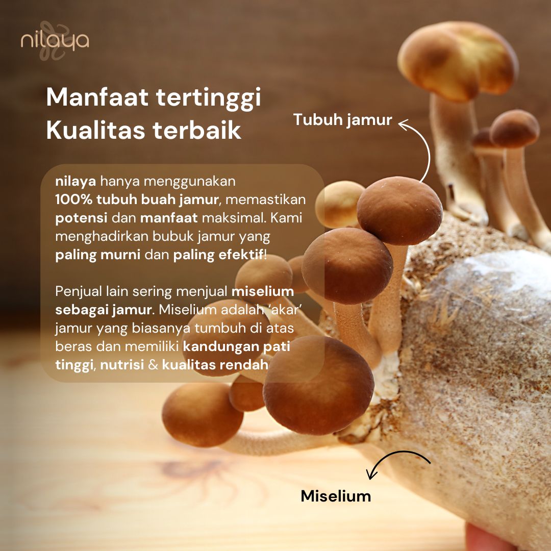 NILAYA Chaga Mushroom Extract Capsules 10:1 | Immune & Heart Health | Anti-Inflammatory | Organic