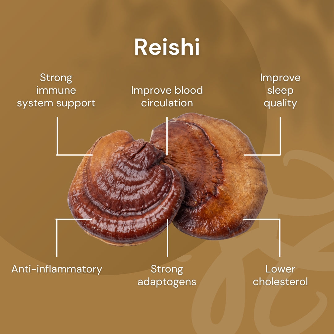 NILAYA Reishi Mushroom Extract Capsules 10:1 | Deep Sleep, Stress & Immunity | Organic