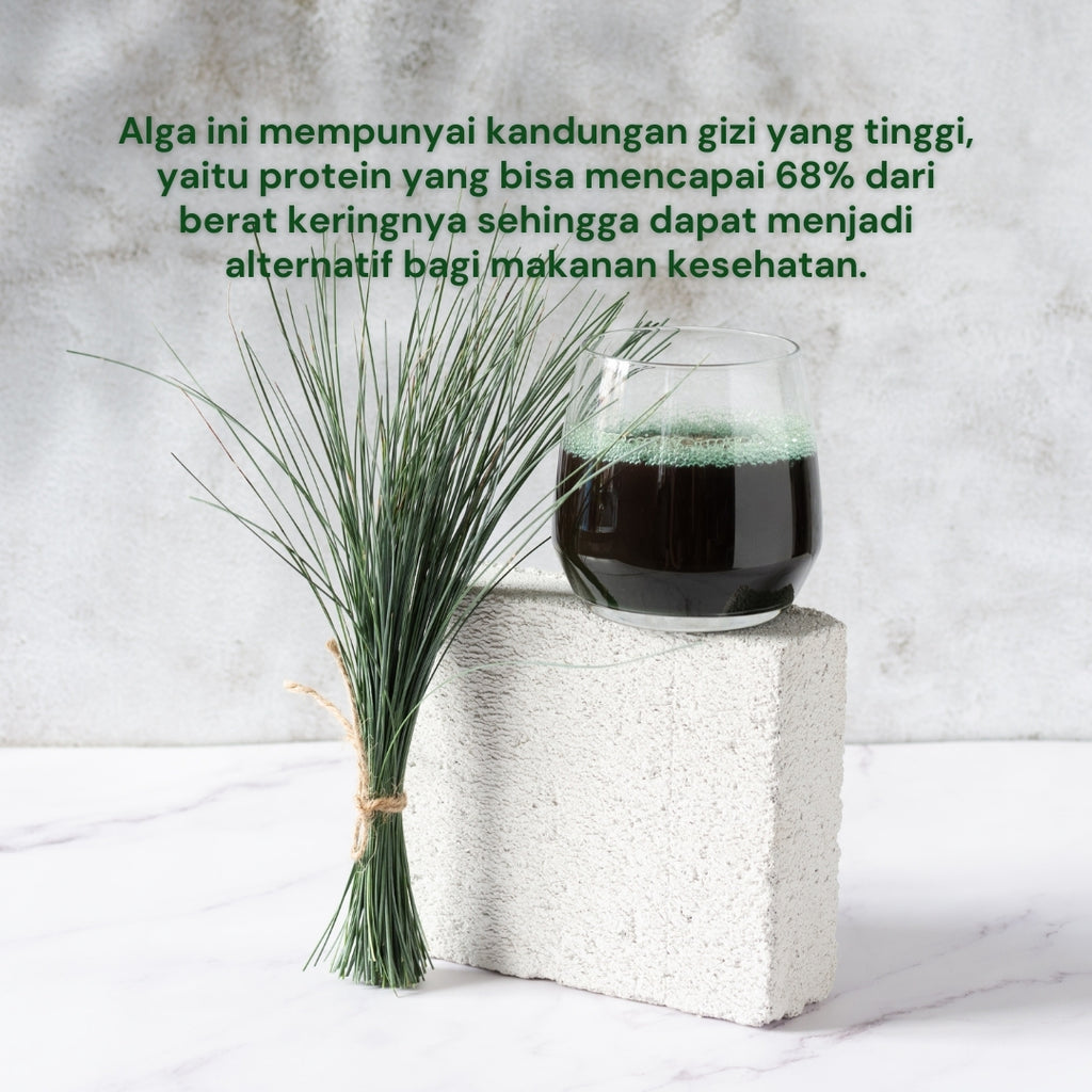 NILAYA Organic Spirulina Capsules — 80 Caps | Halal & BPOM Certified | Glass Bottle | Premium Superfood