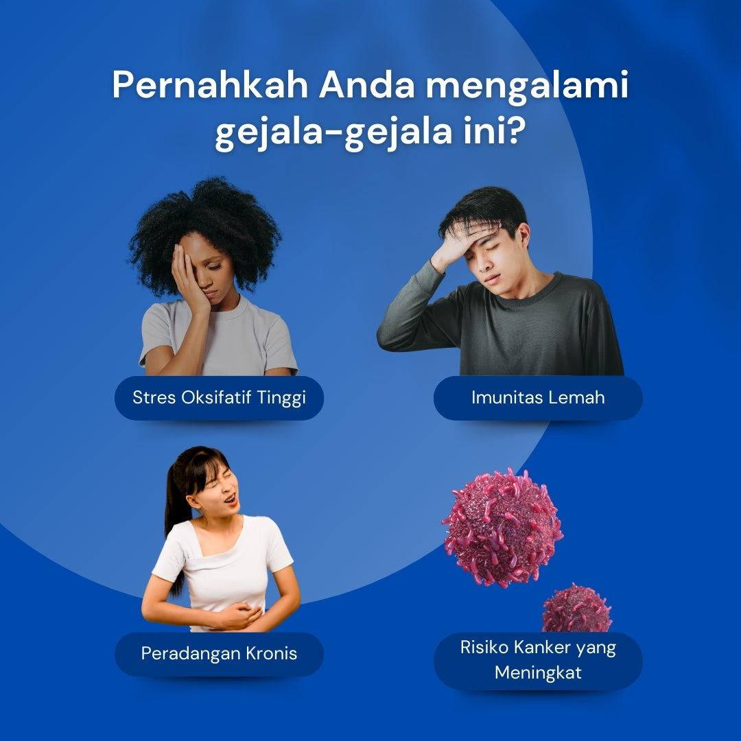 NILAYA Blue Spirulina Powder (Phycocyanin) 50g | Concentrated Antioxidant Extract | BPOM & Halal