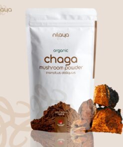 nilaya chaga mushroom powder from fruiting body, organic, halal, BPOM