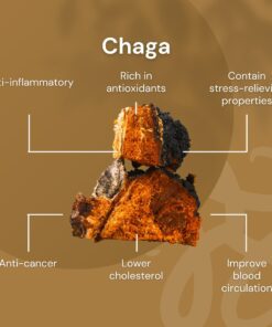 nilaya chaga mushroom benefits