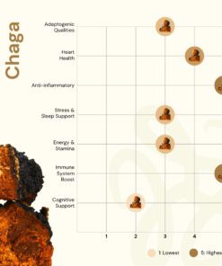 nilaya chaga mushroom benefits