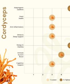 Nilaya Cordyceps mushroom benefits organic, halal, bpom from fruiting body