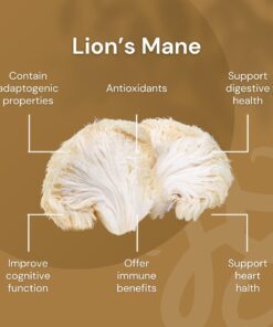Nilaya Lion's mane powder pure organic mushroom