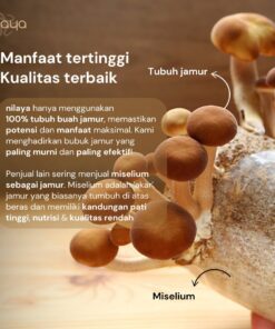 nilaya mushrooms are made from fruiting bodies