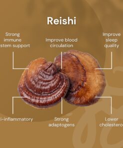 Nilaya Reishi mushroom powder benefits organic, halal, bpom from fruiting body