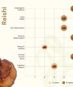 Nilaya Reishi mushroom powder benefits organic, halal, bpom from fruiting body