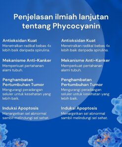 nilaya blue spirulina phycocyanin benefits